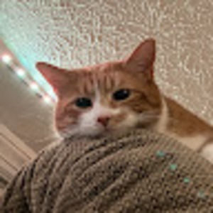 Meet your Posher, Jewell